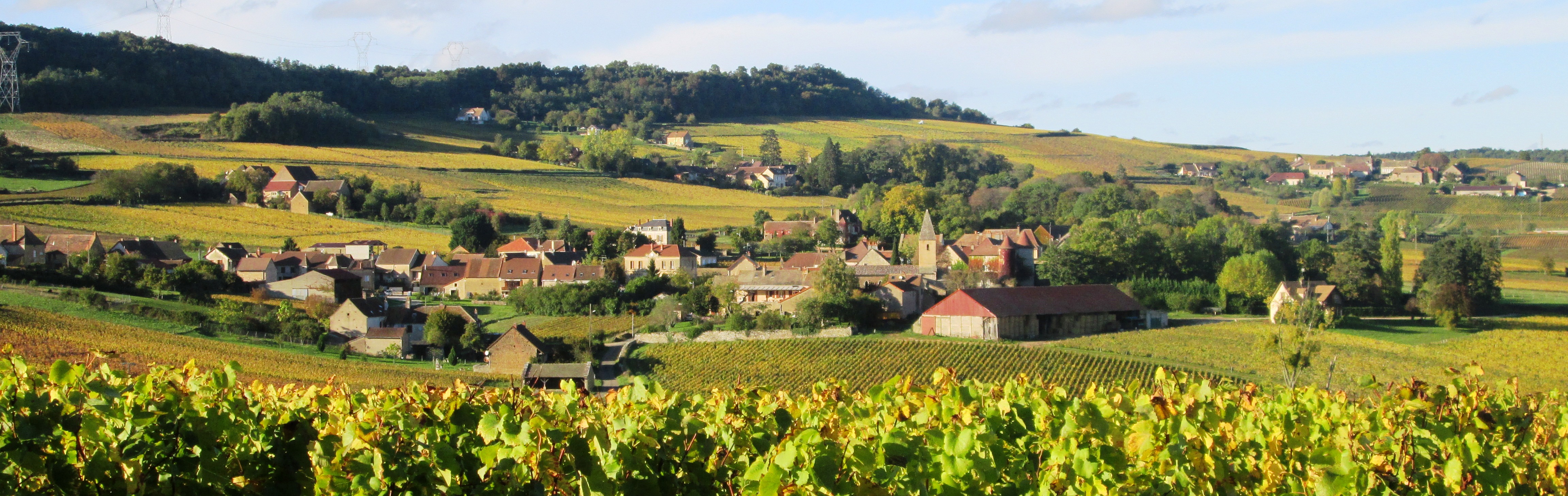 Banniere SAINT-VALLERIN